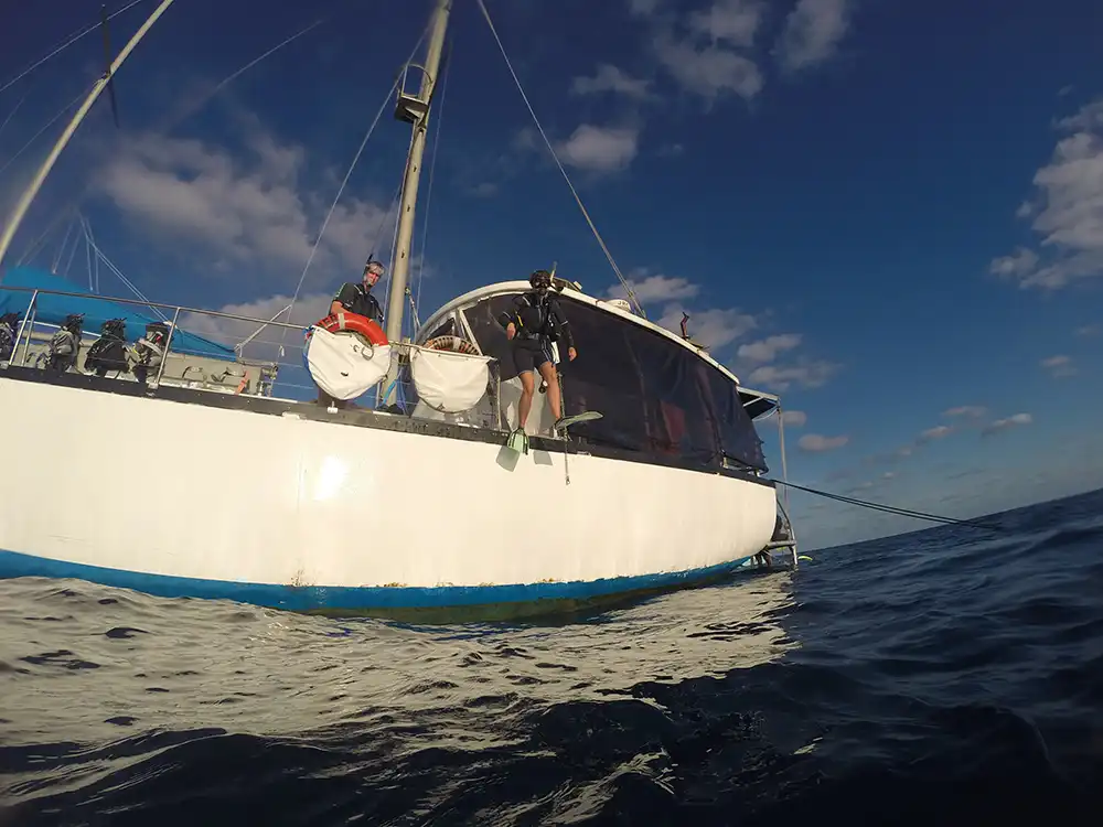 Great Barrier Reef 2 Day 1 Night Snorkel Tour