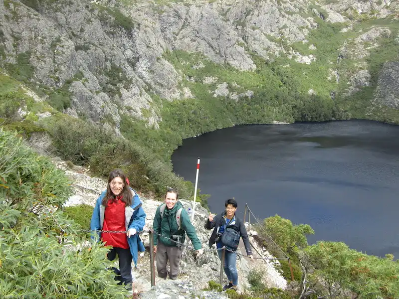 Cradle Mountain World Heritage Day Tour from Launceston