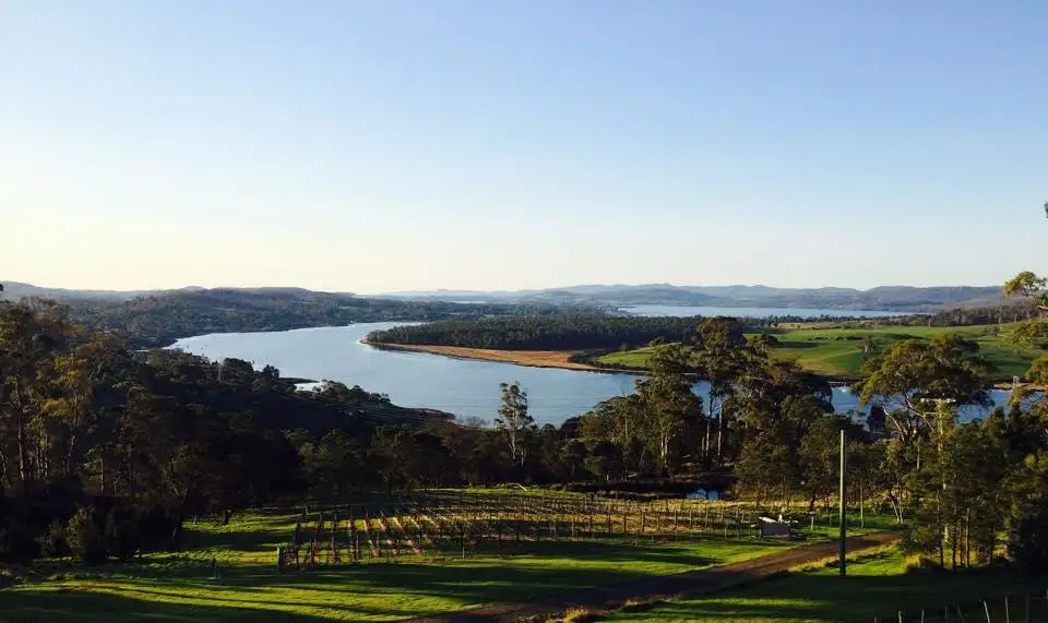 Tamar Valley Discovery Wine Tour