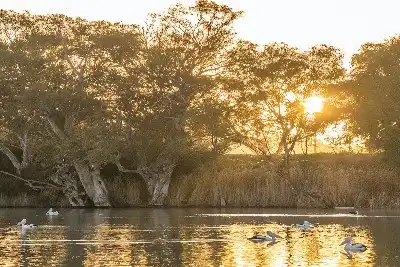 3 Night Murray River Discovery Cruise