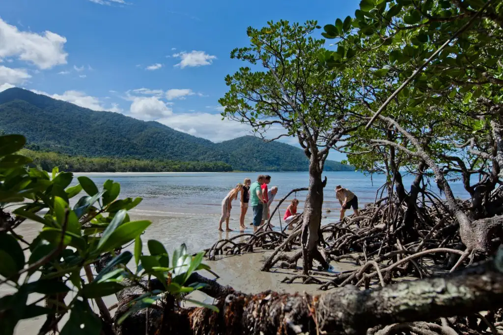 Cape Tribulation, Daintree & Mossman Gorge Day Tour