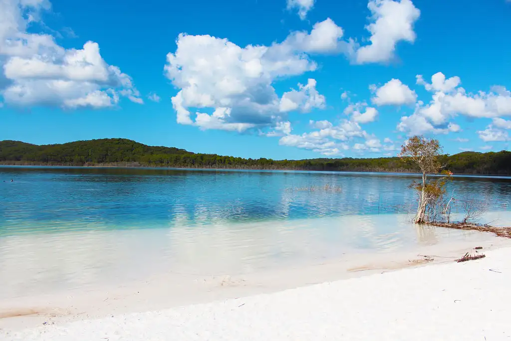 Fraser Island 2 Days 1 Night Eco Tour from Brisbane