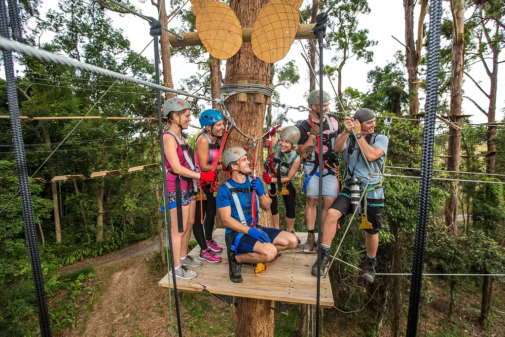 Treetop Challenge High Ropes Course Sunshine Coast