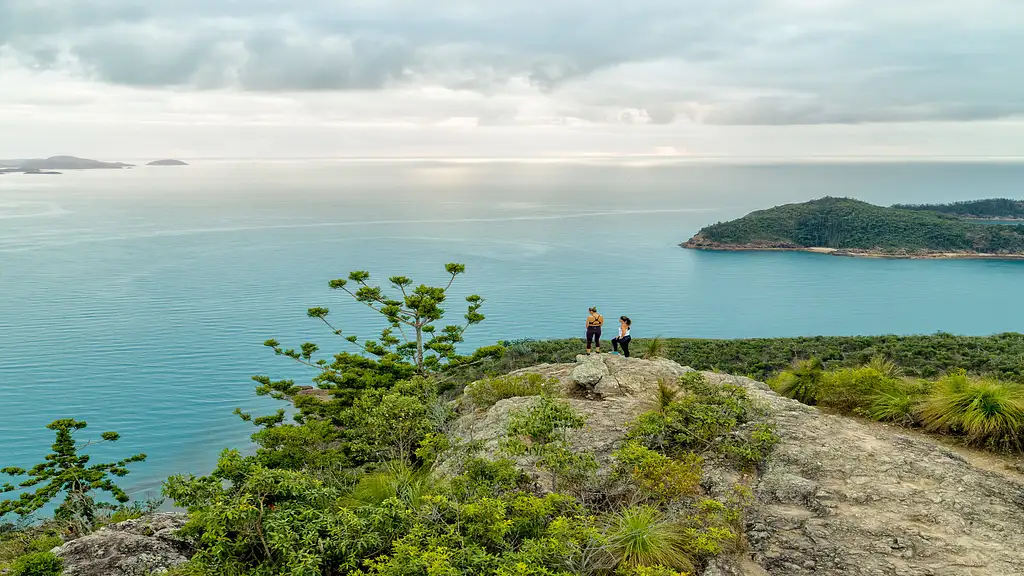 Whitehaven Beach Half Day Cruise | From Hamilton Island