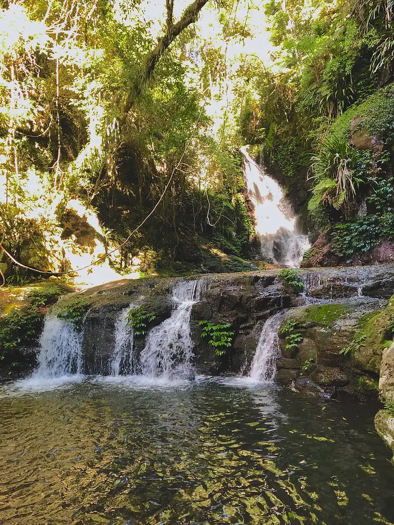 Rainforests of Lamington Wilderness Tour from the Gold Coast