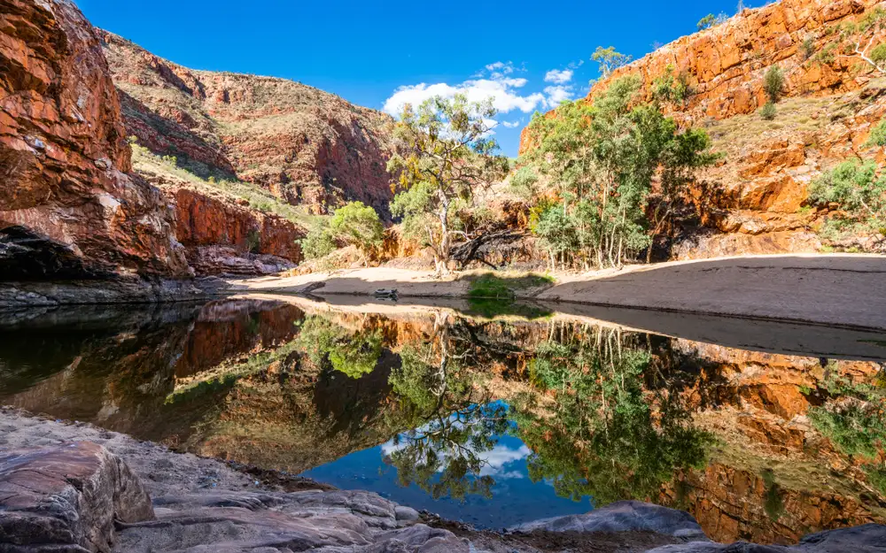 5 Day Outback Camping Adventure | Yulara to Alice Springs