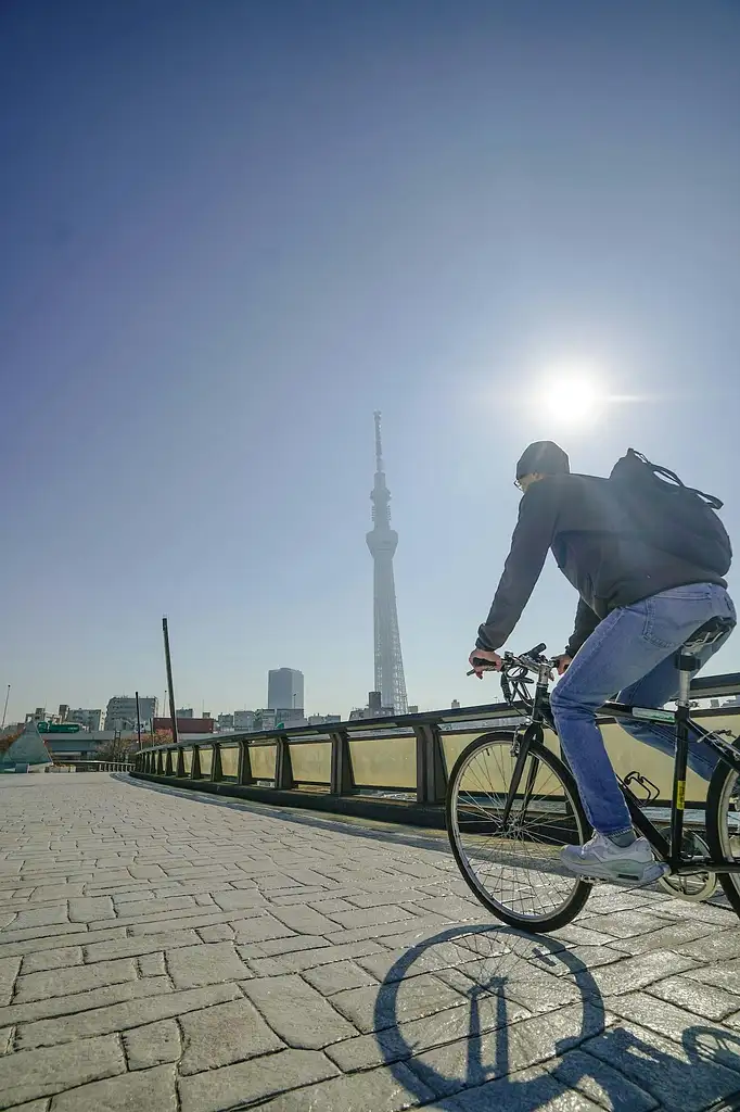 Tokyo and Edo Hidden Gem Bike Tour with Lunch