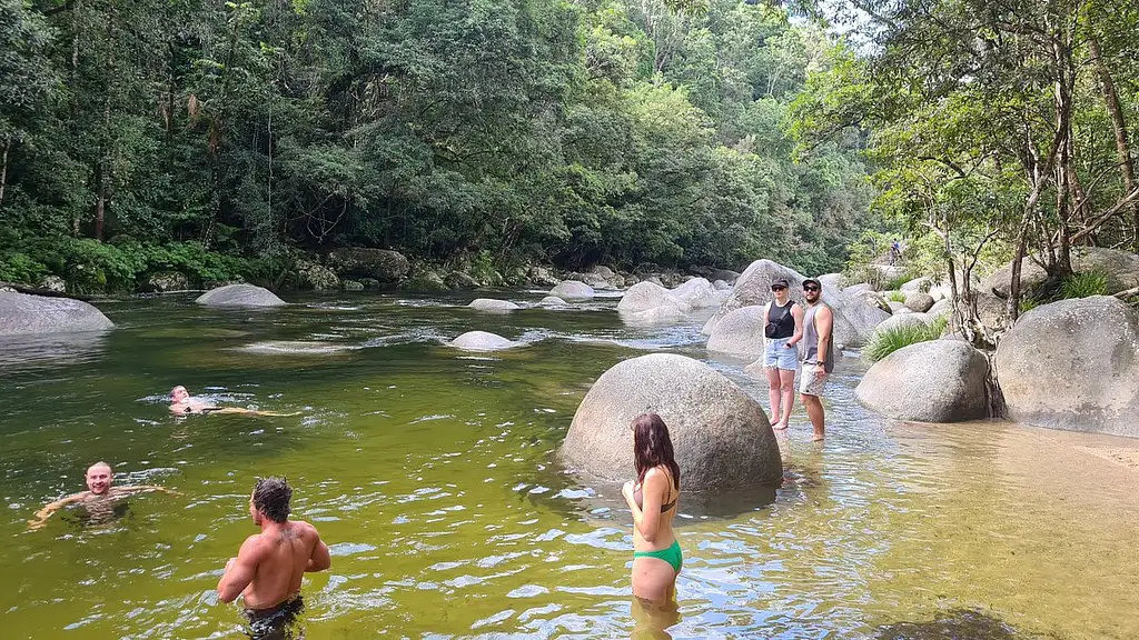 Cape Tribulation Day Tour With Mossman Gorge and Daintree Rainforest