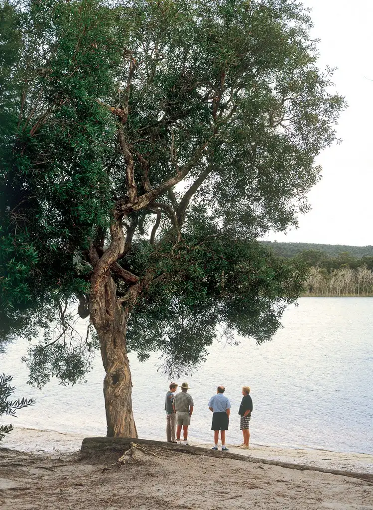 North Stradbroke Island 4WD Day Tour