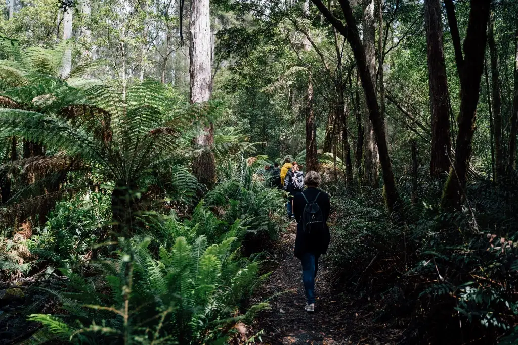 Bruny Island Day Tour | From Hobart