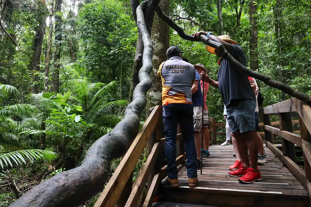 Cape Tribulation Tour - Full or Half Day Option