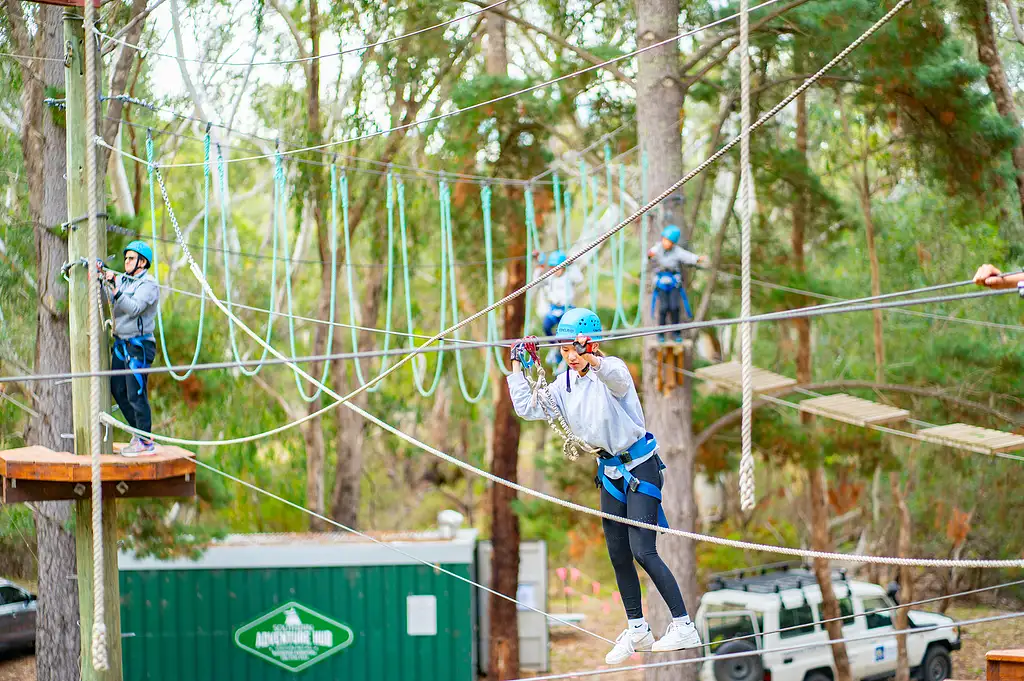 Rock Climb & Ropes Course - Southern Adventure Hub