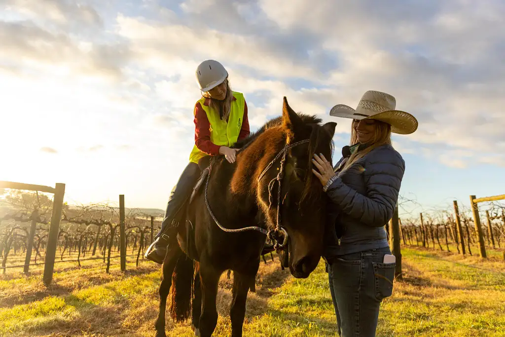 90 Minute Horseback Vineyard Trail Ride - Hunter Valley