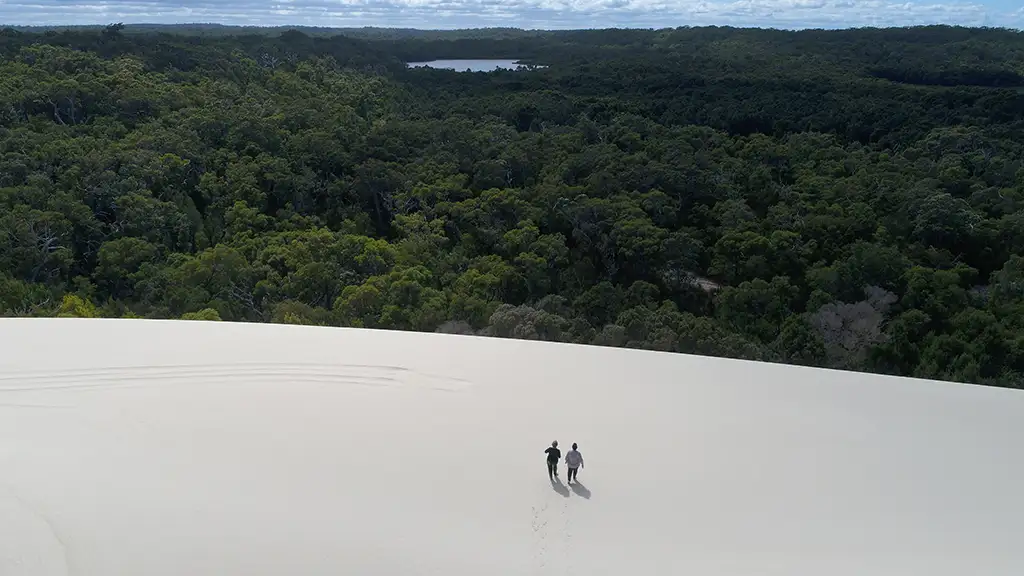 Beach & Forest Eco Adventure - Pemberton