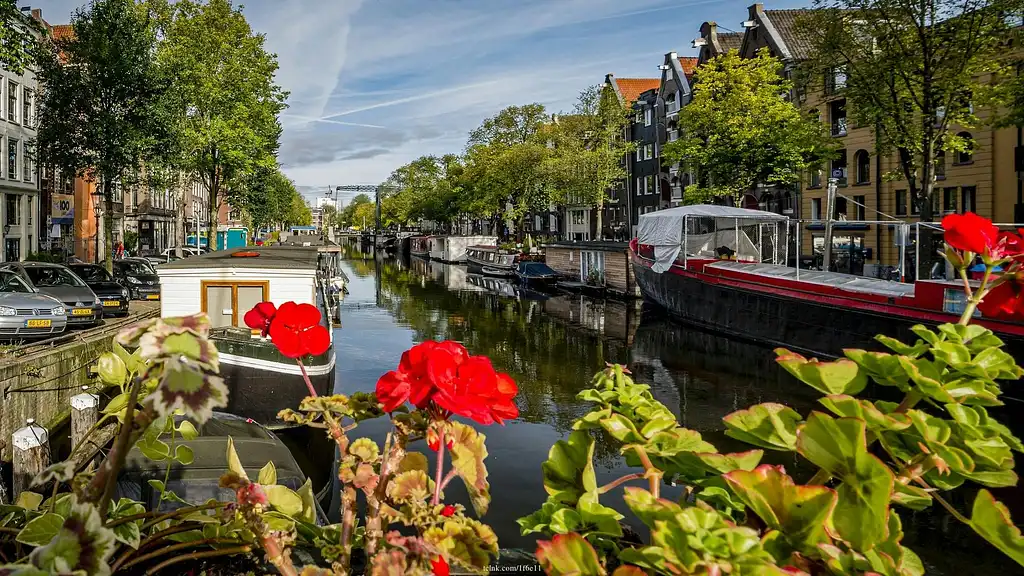 Amsterdam highlights private half-day walking tour