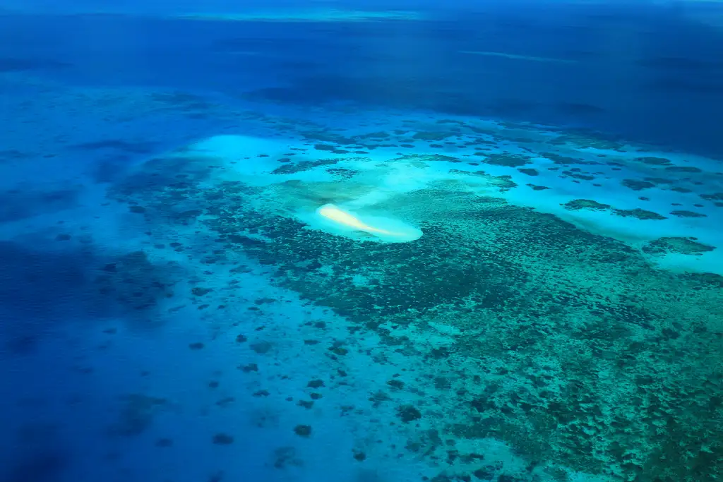 Outer Edges of The Great Barrier Reef Scenic Flight