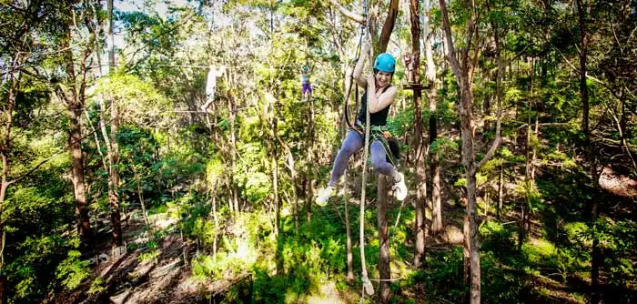 Treetop Challenge Currumbin Wildlife Sanctuary