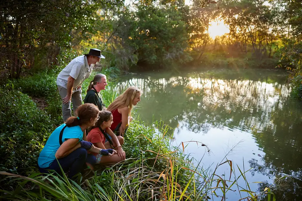 Cairns Rainforest Wildlife Day & Night Tour