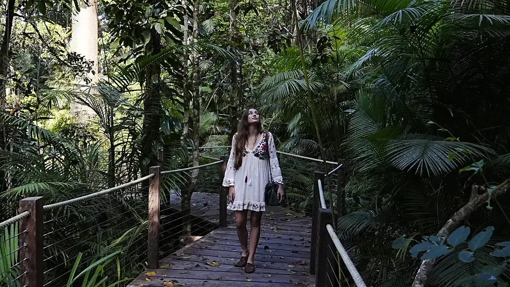 Kuranda Skyrail & Scenic Rail | Return Transfers from Cairns