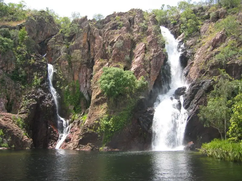 Litchfield Swimming, Waterfalls, and Crocodile Cruise