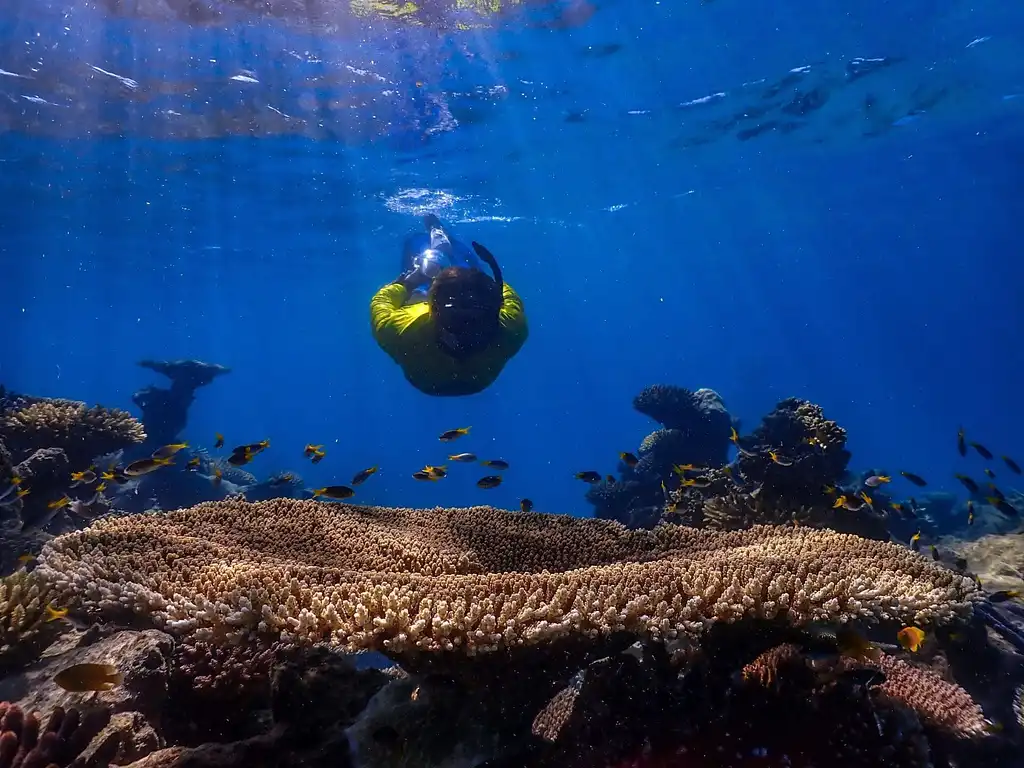 Outer Reef Mackay Cay Luxury Cruise