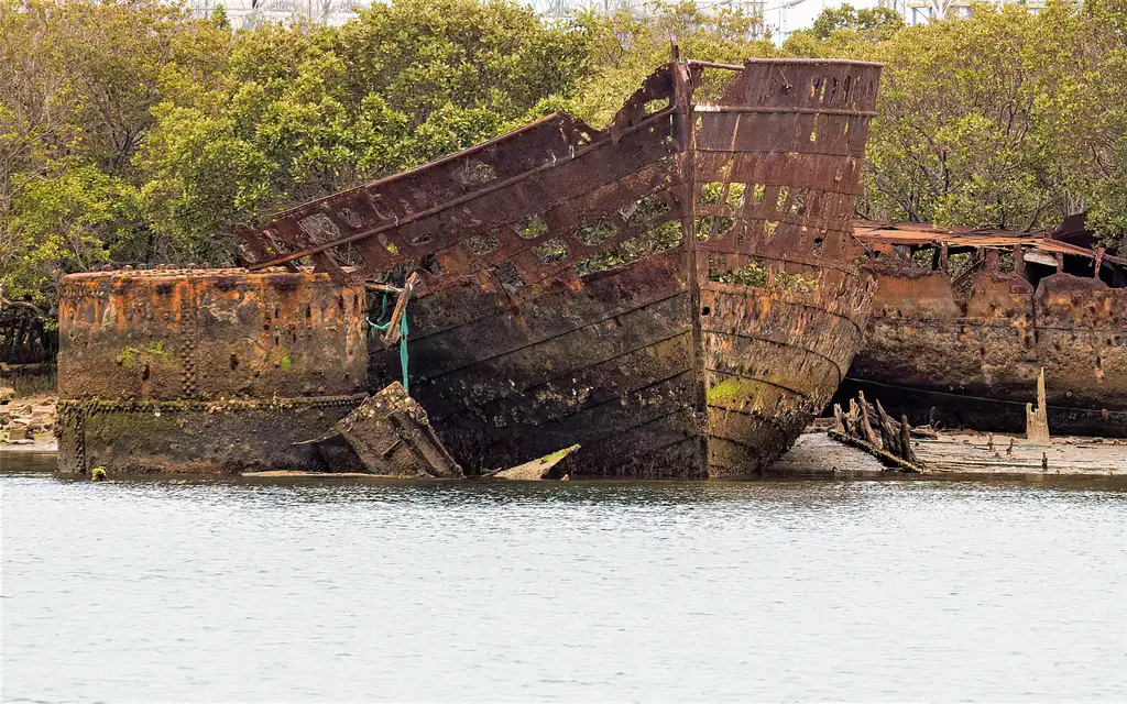 Port River Dolphin Cruise