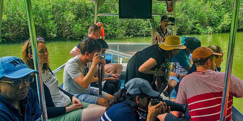 Premium Daintree & Cape Tribulation Day Tour