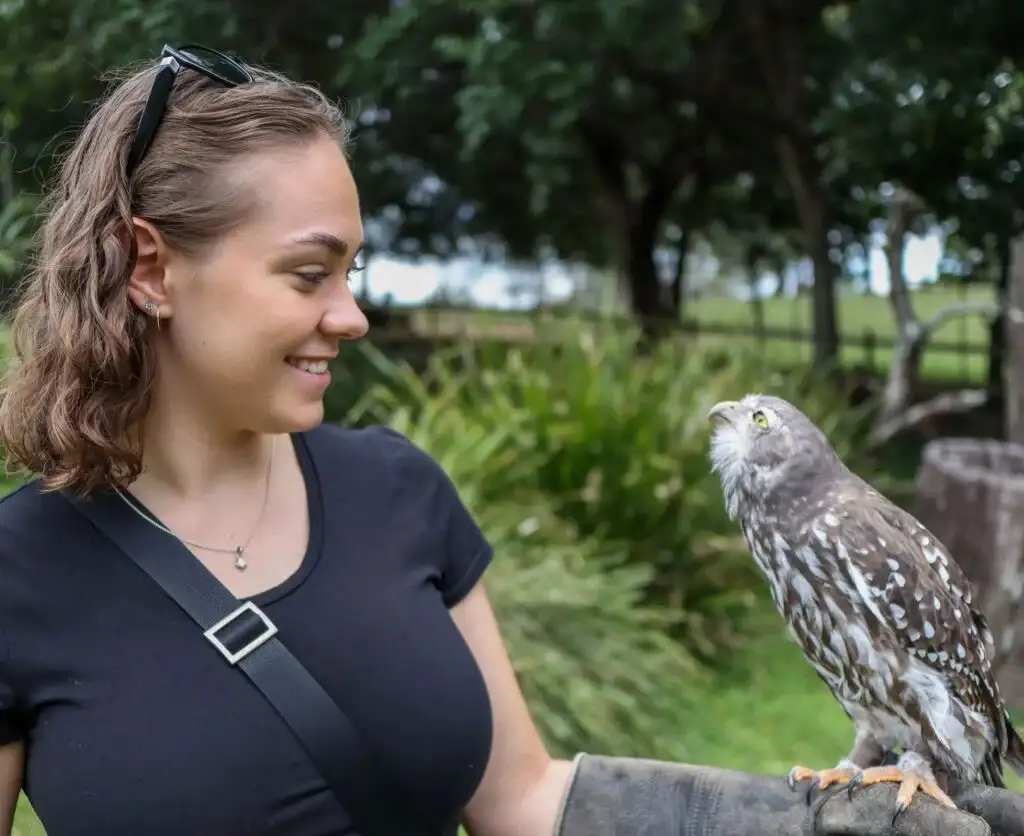 Lone Pine Koala Sanctuary Entry with Brisbane River Cruise