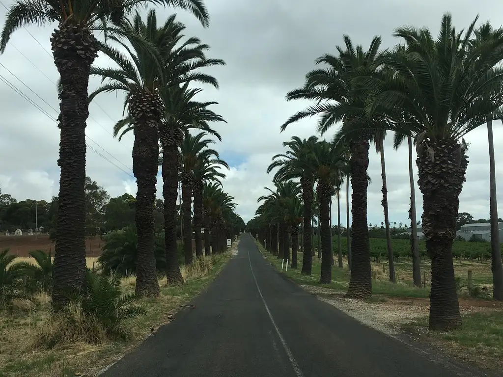 Barossa Valley & Hahndorf Food & Wine Tour