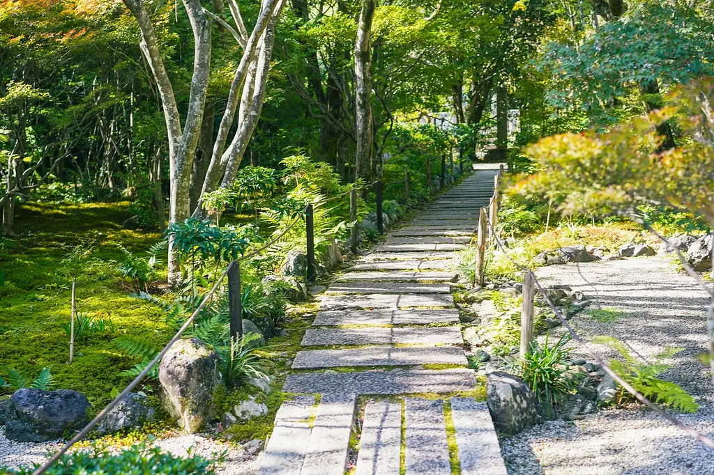 Kyoto Arashiyama Bamboo forest & Garden Half-Day Walking Tour