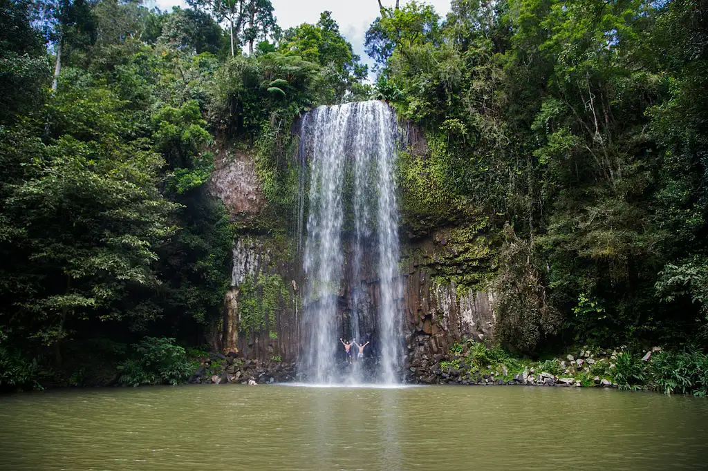 3 Weeks Australia East Coast Tour (Emu) | Sydney to Cairns | Stray