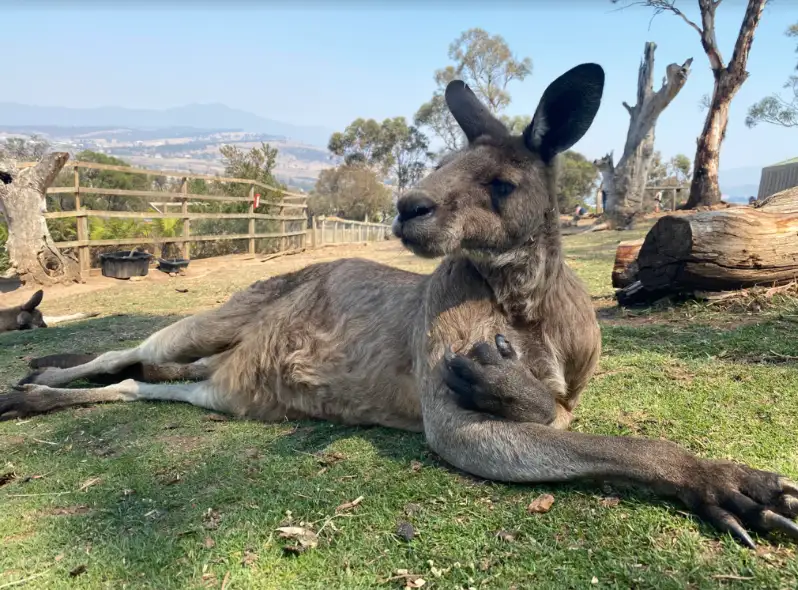 Hobart Highlights Full Day Tour