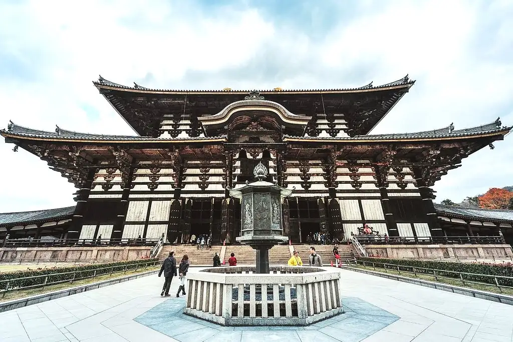 1-Day Tour To Kyoto And Nara Park From Osaka