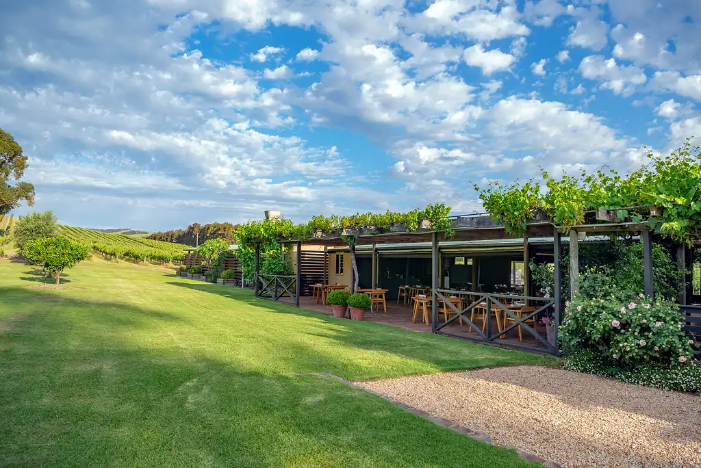 Vegan Wine Tasting & Gourmet Lunch: McLaren Vale