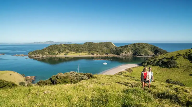 'Bay & Cape' Bus Pass | Auckland & Bay of Islands| Kiwi Explorer