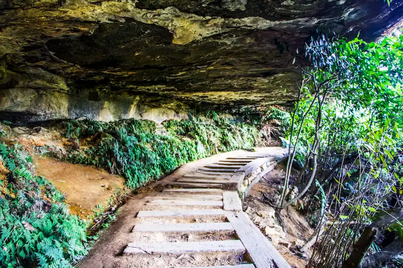 Blue Mountains Sunset Tour