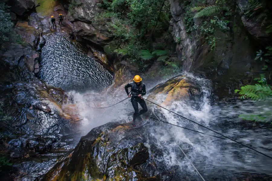 Empress Canyon Abseiling & Canyoning Adventure with Lunch - Blue Mountains