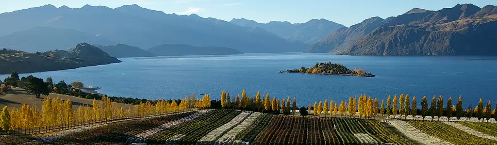 Taste of Wanaka Wine Tour