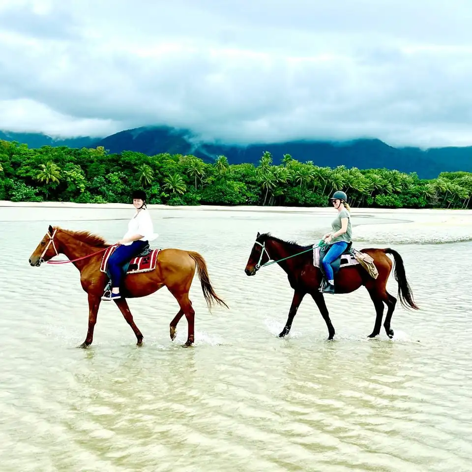 Cape Tribulation Beach Horse Ride