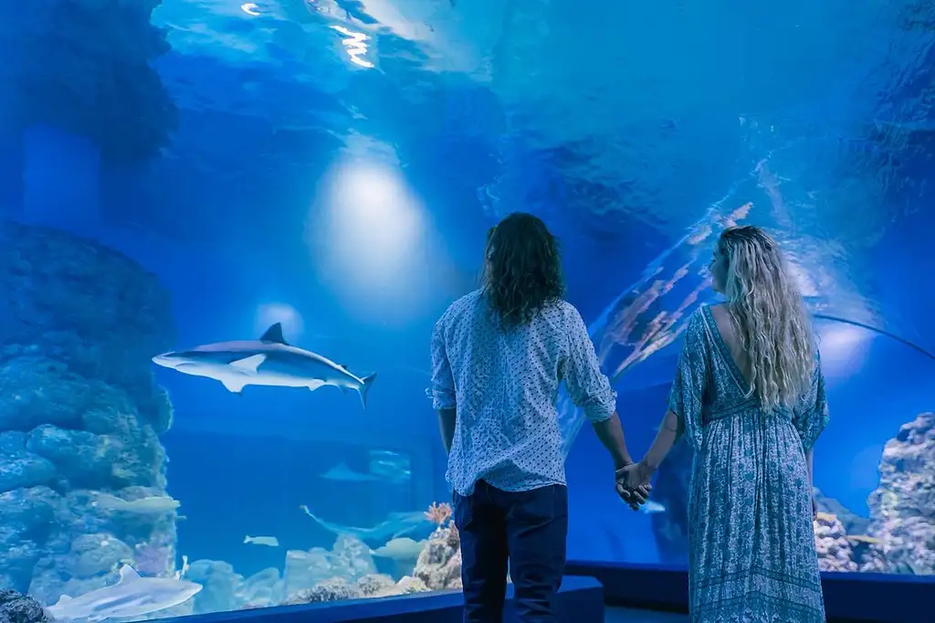 Cairns Aquarium by Sunrise