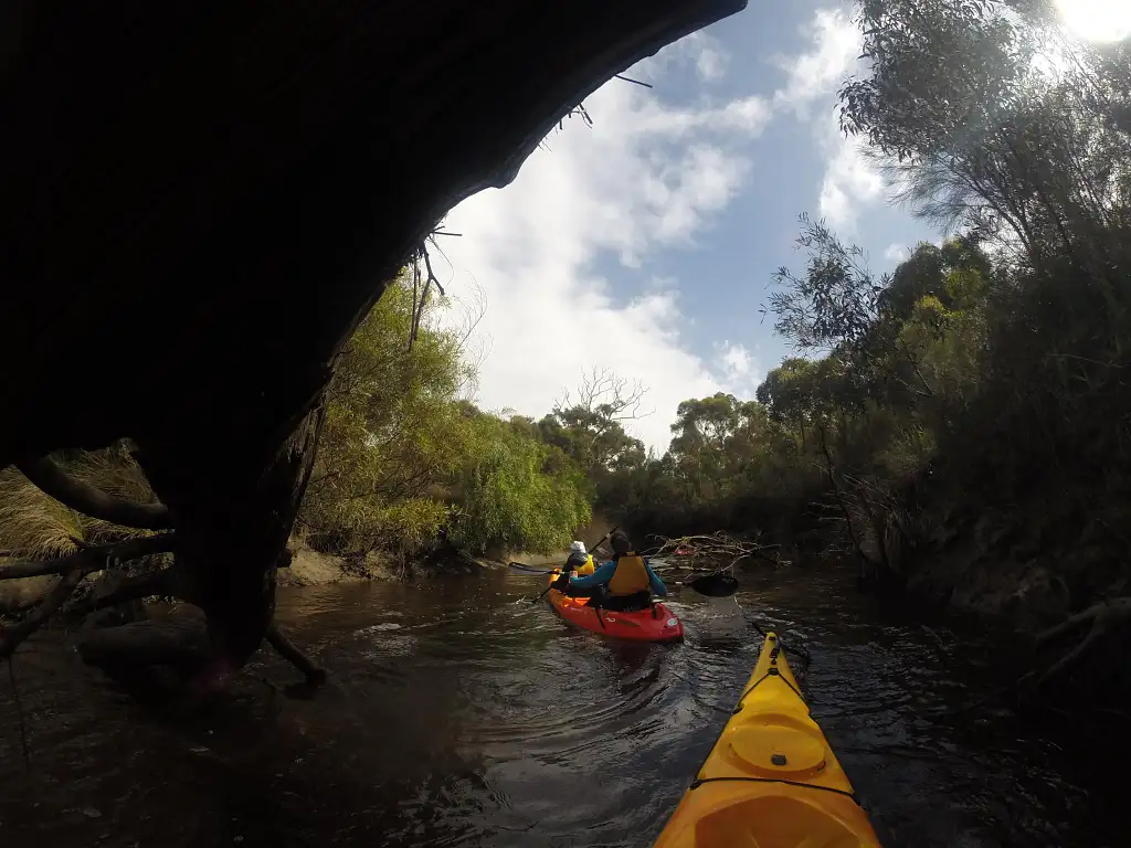 Kangaroo Island Kayak Tour - Harriet River