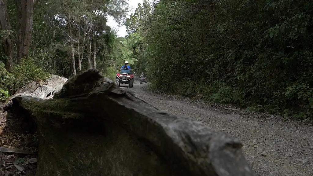 Quad Bike Tour – Farm Forest Ride