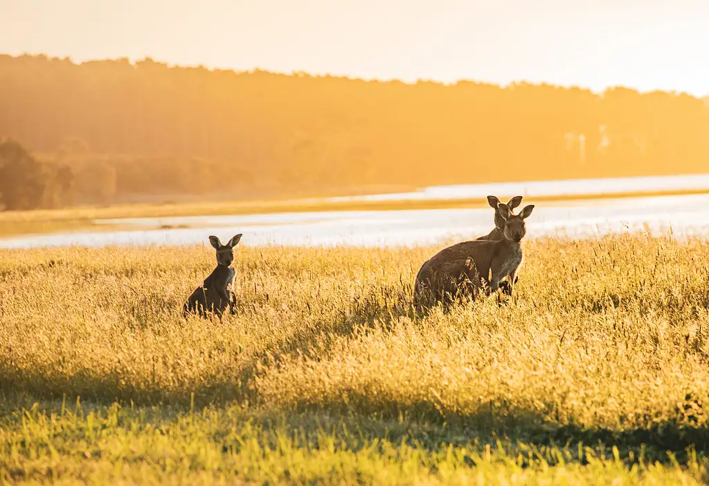 4 Day Yoga Retreat - Fleurieu Peninsula