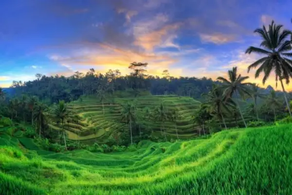 Bali Private Tour with Driver - Choose your Itinerary!