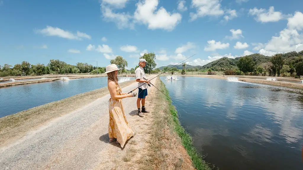 Delights of the Daintree - Unique Full Day Foodie Tour