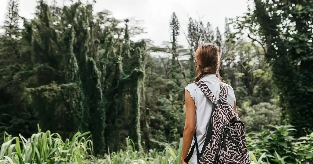 Hawaii Rainforest Hike