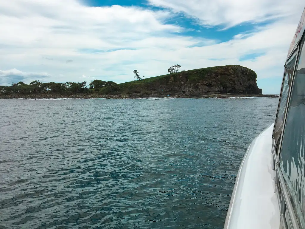 Snorkel with Turtles at Mudjimba Island