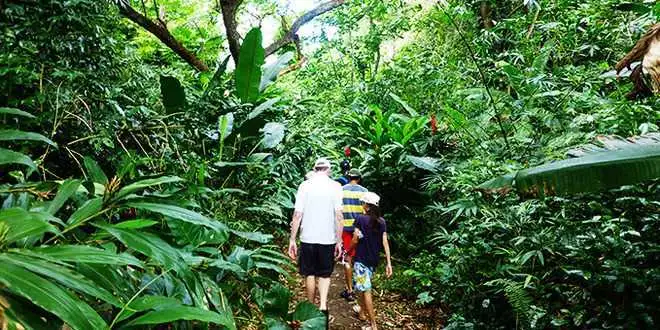 Fiji's Cannibal Tribes Cave Tour