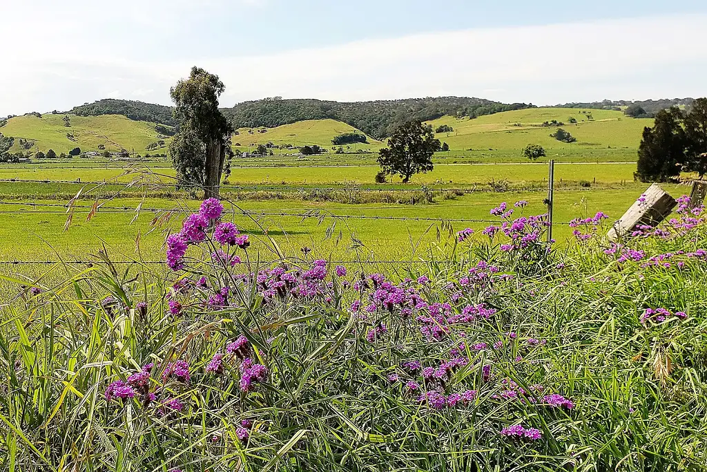 Sydney to the South Coast | Kiama Day Tour