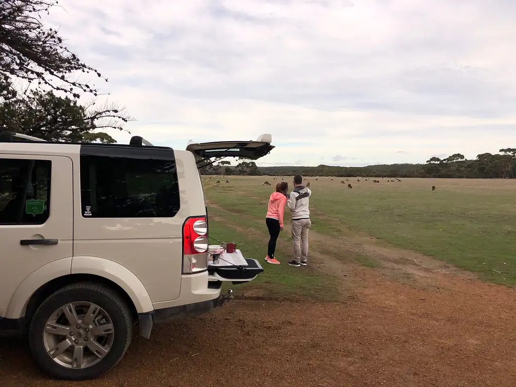 Flinders Chase and West End Wildlife 4WD Tour - Kangaroo Island